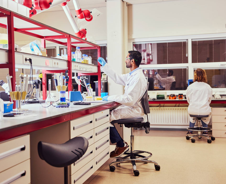 Score Haren En RUG 15LR