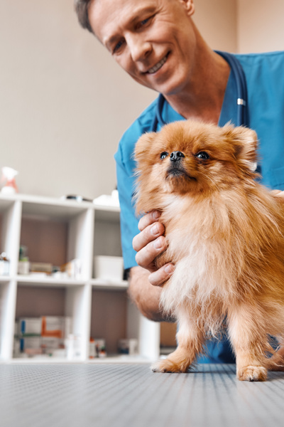 Achtergrond afbeelding